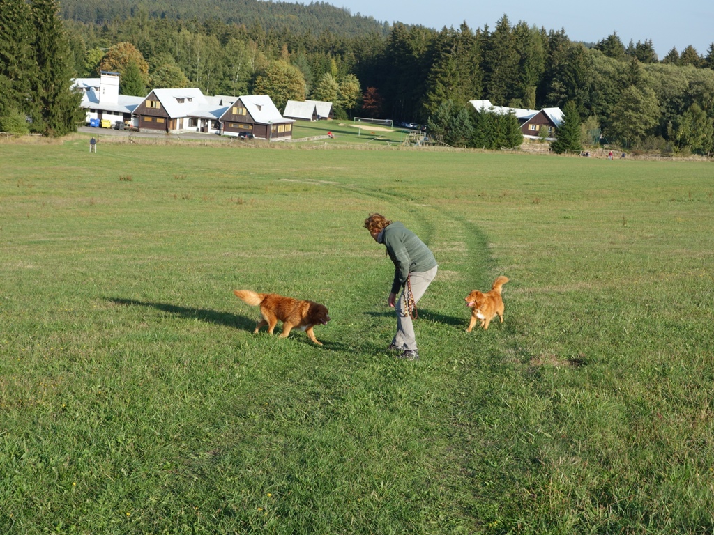 DSC07562a