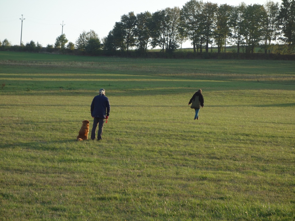 DSC07607a