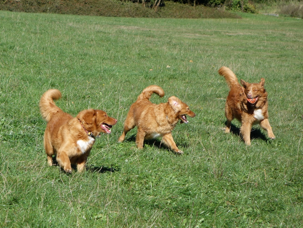 DSC07753a