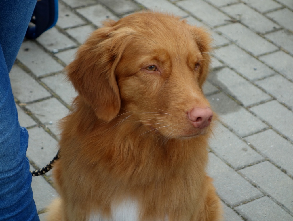 DSC09175a