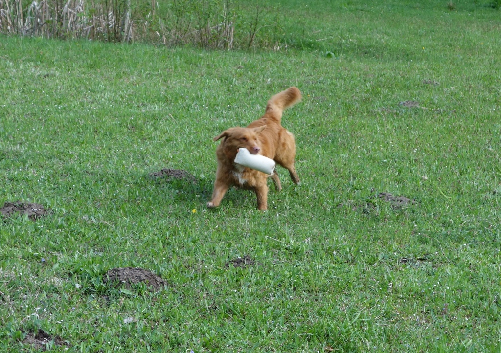 DSC09283a