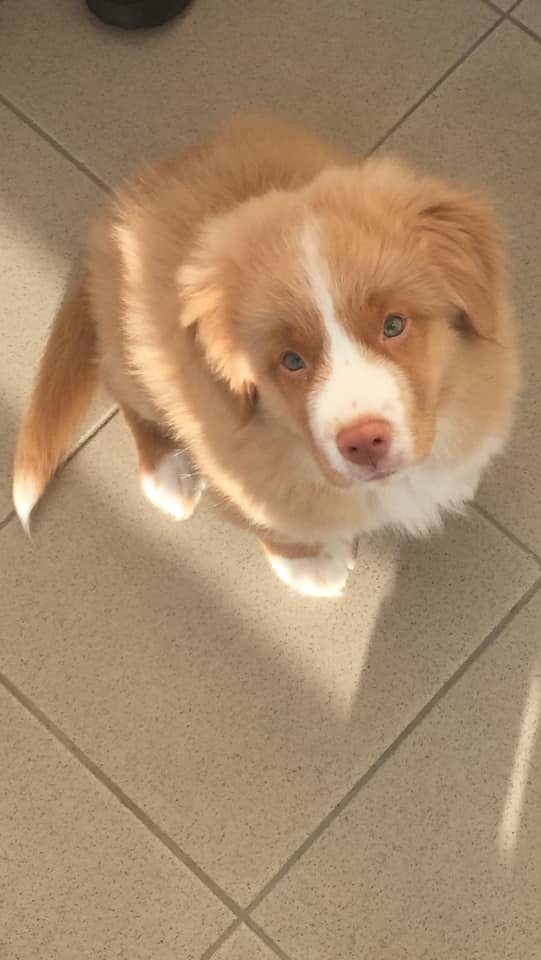 Easy boy 4