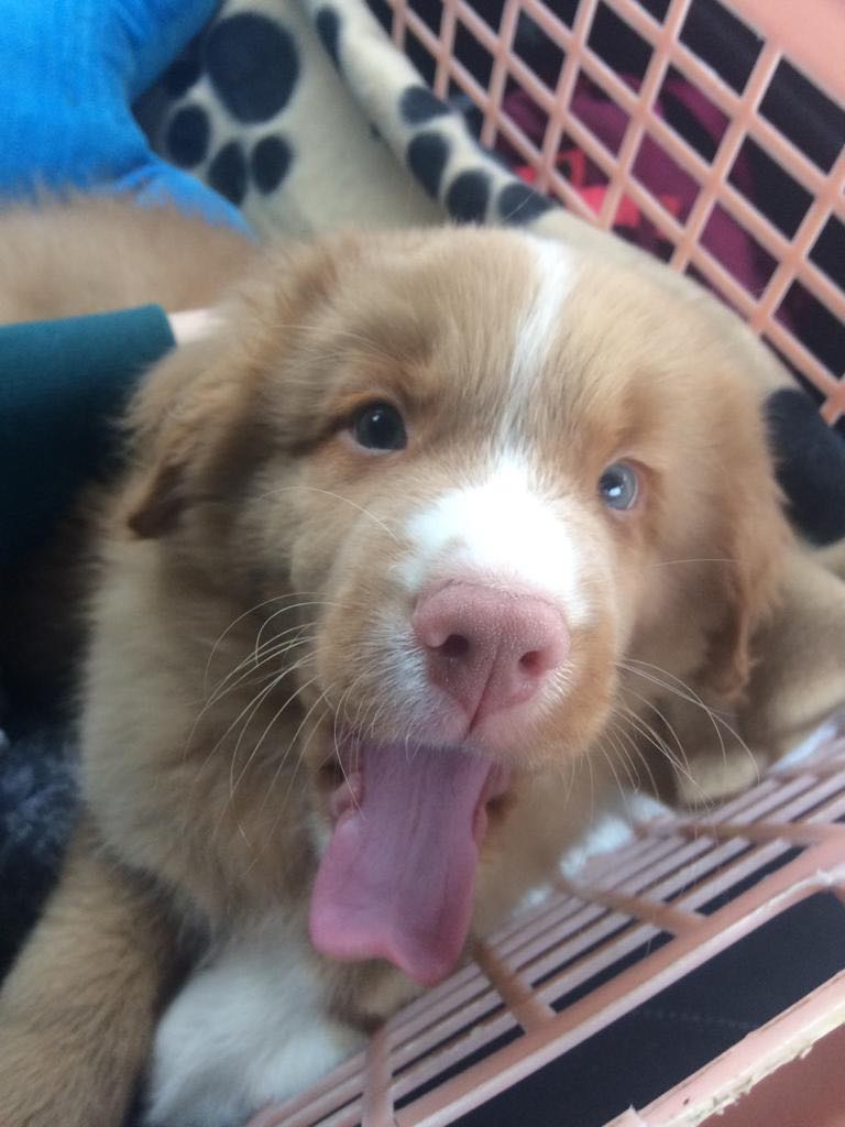 Eddie 5