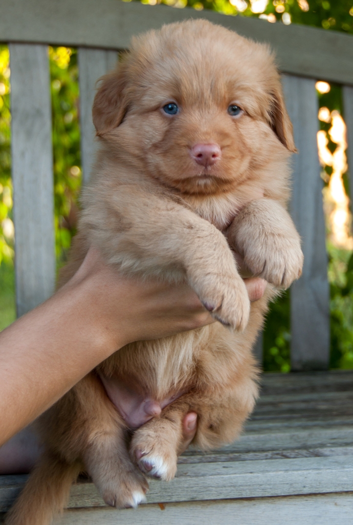 Bodie 3