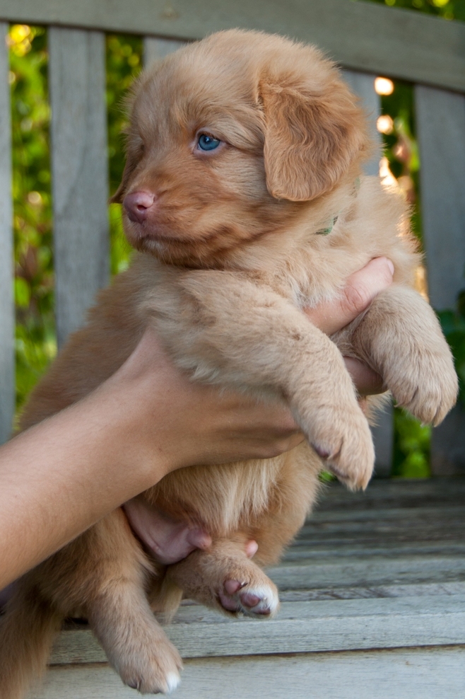 Bodie2