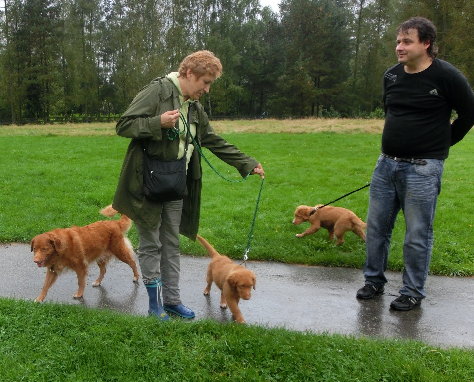 Dája, Bella, Barney, Nora, Petr