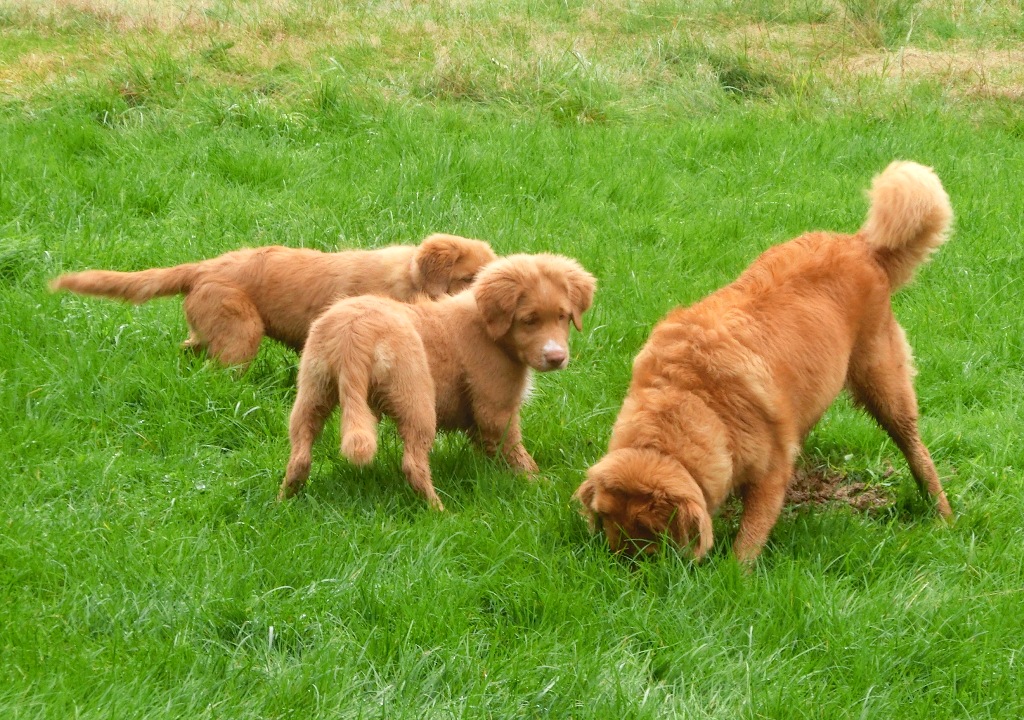 Bella, Barney a Bára - kurz hrabání myšek
