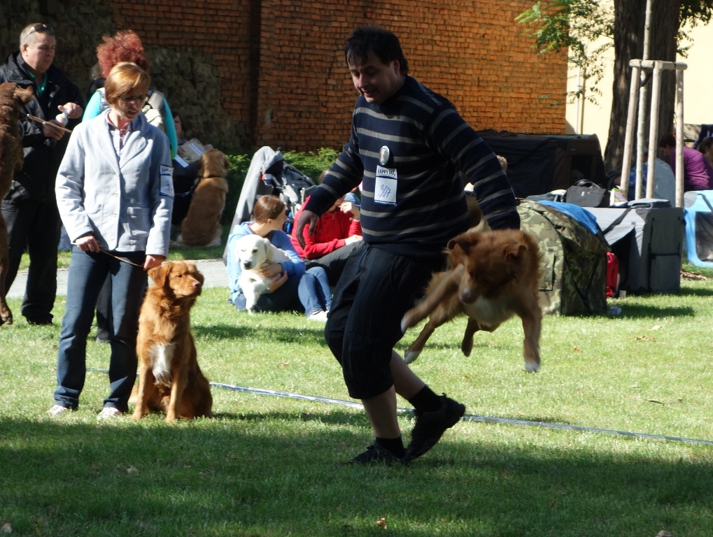 DSC02024fa