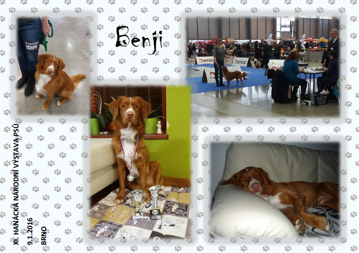 Benji Brno 2016 A